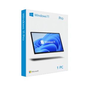 Windows 11 Professional