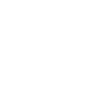 Projector