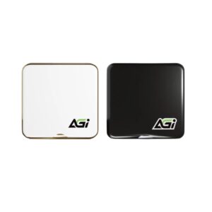 AGI EDM38 Magnetic Portable SSD